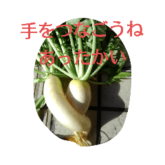 [LINEスタンプ] 大好きなファミリーに