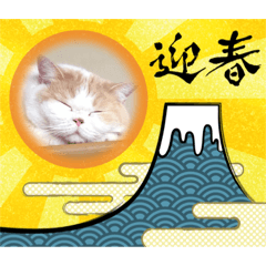 [LINEスタンプ] MM ぶらざーずのお正月 2020