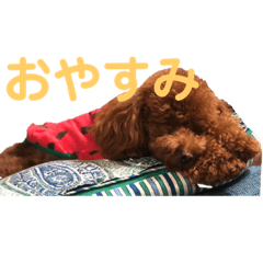 [LINEスタンプ] アンナスタンプ 1