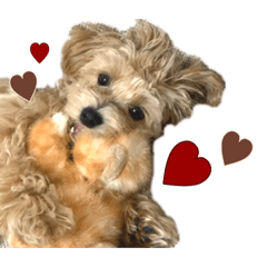 [LINEスタンプ] うちのまるおっさん。