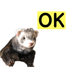[LINEスタンプ] 青島家のみお