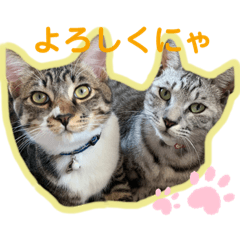 [LINEスタンプ] 小夏とれもん
