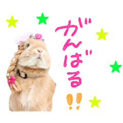 [LINEスタンプ] うさぎのおもち3
