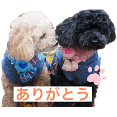[LINEスタンプ] COCORA_1224