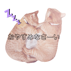 [LINEスタンプ] 悟空と銀のお話