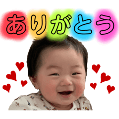 [LINEスタンプ] 晴大ンプ✌︎