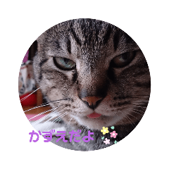 [LINEスタンプ] るなくん❗❗
