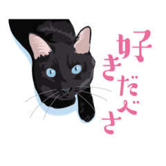 [LINEスタンプ] 北海道弁を喋る黒猫