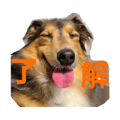 [LINEスタンプ] 藤村ちょこ！