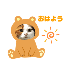 [LINEスタンプ] 毛抜きめぐちゃん