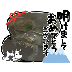 [LINEスタンプ] 亀スタンプ＆犬スタンプ