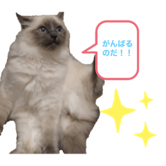 [LINEスタンプ] ちーむラグちゃんズ