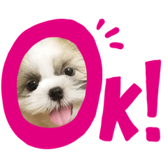 [LINEスタンプ] かんたダヨ❕