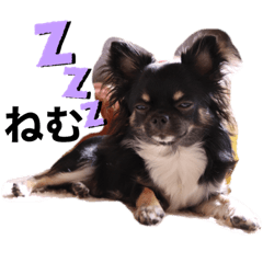 [LINEスタンプ] アルたんすたんぷ。