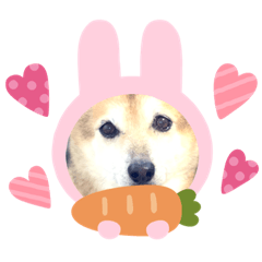 [LINEスタンプ] あきまろんが作ったスタンプ
