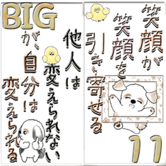 [LINEスタンプ] 【Big】新シーズー犬11『悩んでいる人へ』