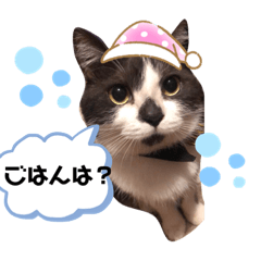 [LINEスタンプ] くるみの気持ち