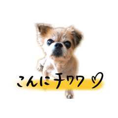 [LINEスタンプ] zerosticker
