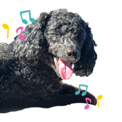 [LINEスタンプ] noahstanp