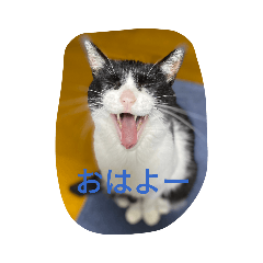 [LINEスタンプ] おむーさんの日常