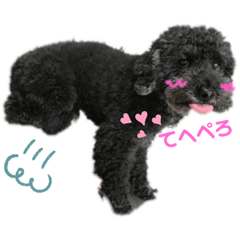 [LINEスタンプ] 我が家のレオン①