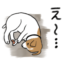 [LINEスタンプ] クールめなジャックラッセルテリアの画像（メイン）