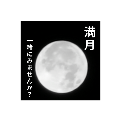 [LINEスタンプ] 満月と君...