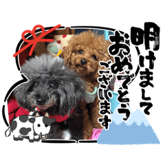 [LINEスタンプ] 新年スタンプ プードル