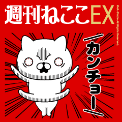 [LINEスタンプ] 動く/週刊ねここEX/毎日使える