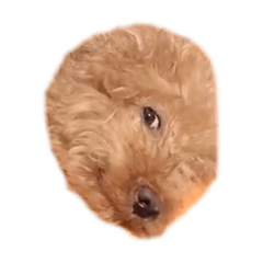 [LINEスタンプ] 人面犬リズ