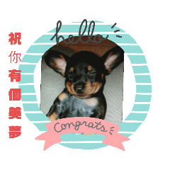 [LINEスタンプ] b7051099