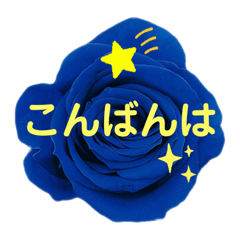 [LINEスタンプ] 薔薇の花の日常言葉