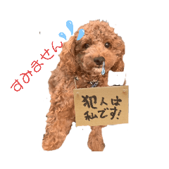 [LINEスタンプ] きゅーとのあいさつすたんぷ