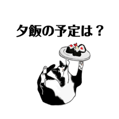 [LINEスタンプ] gumicoの猫氏スタンプ