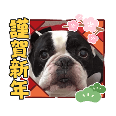 [LINEスタンプ] フレブル へーたん(年末年始)