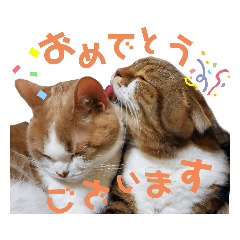 [LINEスタンプ] ひこ＆くにゃ(敬語)