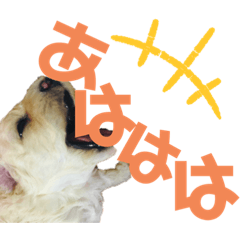 [LINEスタンプ] ららスタンプ2020