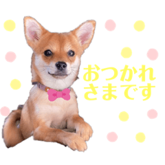 [LINEスタンプ] ロクスタンプ best