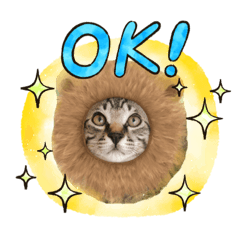 [LINEスタンプ] My Pet’s