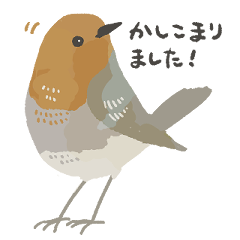 [LINEスタンプ] 敬語と鳥語の野鳥スタンプ