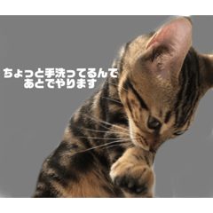 [LINEスタンプ] なかがわ てん