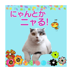 [LINEスタンプ] スコてん