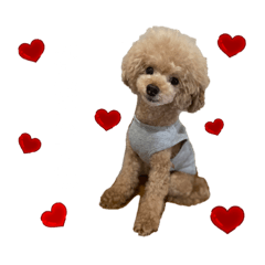 [LINEスタンプ] PIASUくん