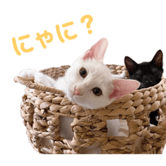 [LINEスタンプ] みなみんち。