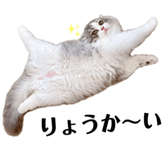 [LINEスタンプ] ぼくわたげ。