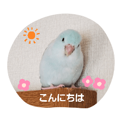 [LINEスタンプ] そらまめのあいさつ