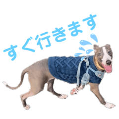 [LINEスタンプ] イタグレのばななのスタンプ
