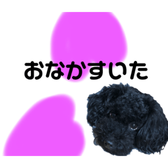 [LINEスタンプ] トイプーたんの日常1