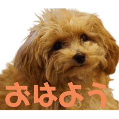 [LINEスタンプ] アナ(301)