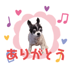 [LINEスタンプ] りん(307)
